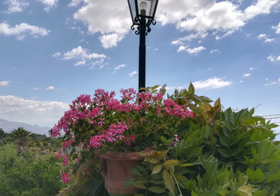 Casa Vacanze Dimora storica Antica Dimora Dell'etna